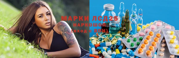 сатива Аркадак