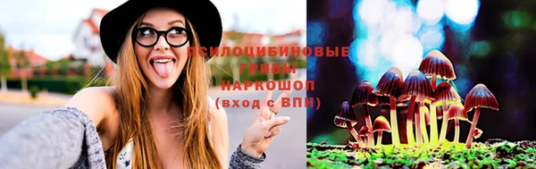 сатива Аркадак