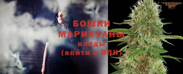 сатива Аркадак
