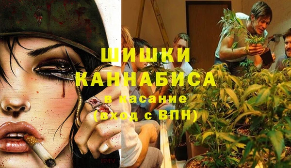экстази Арсеньев