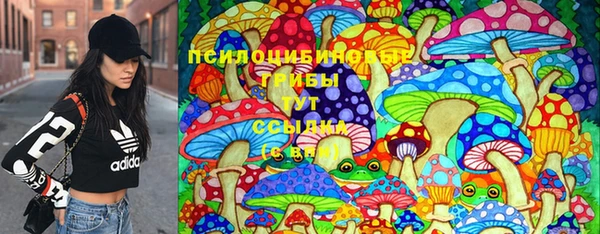 экстази Арсеньев