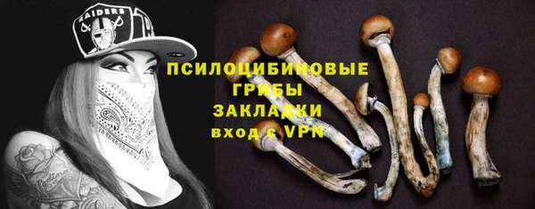 сатива Аркадак