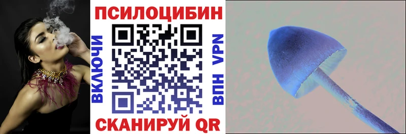 KRAKEN   Белокуриха  Псилоцибиновые грибы Psilocybe 
